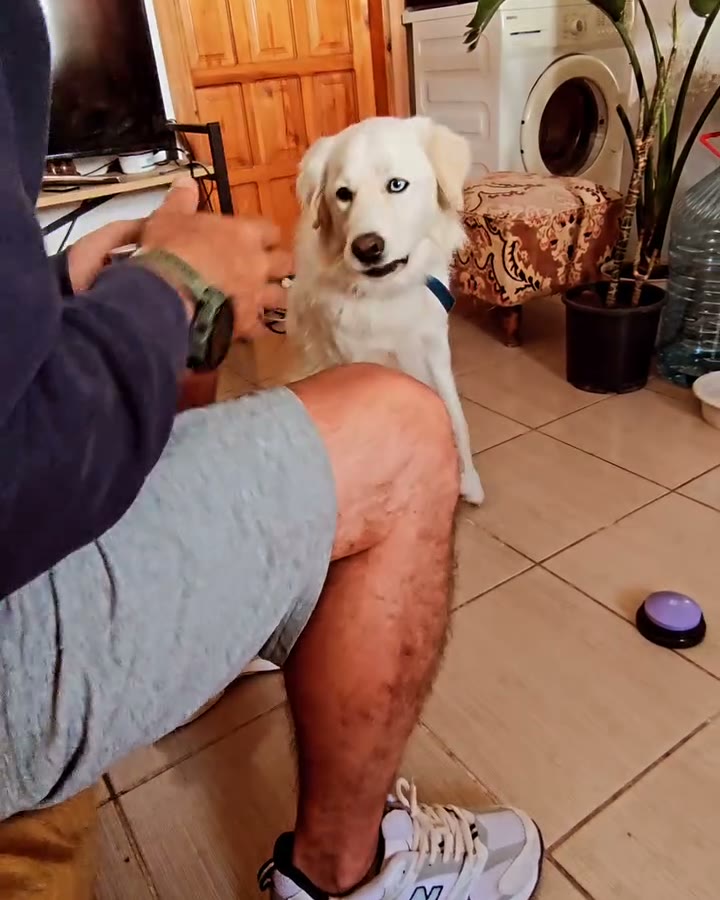 Otur komutu çalışması.