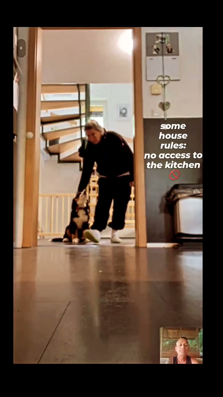 Mutlu Kuyruklar