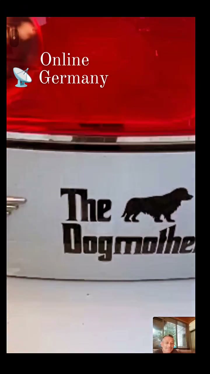 Mutlu Kuyruklar